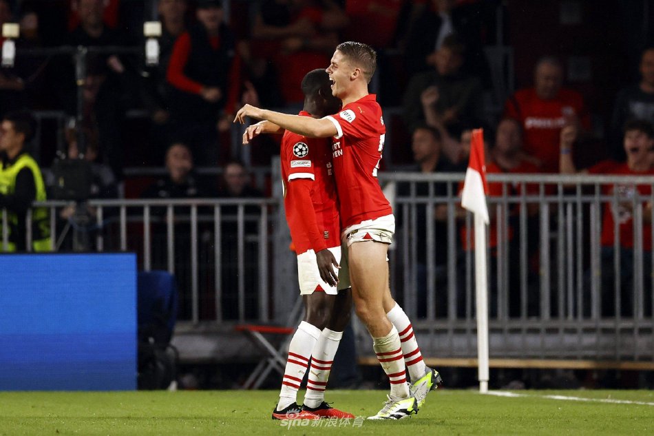 这一提名不 这一提名不